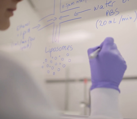 Scientists writing on whiteboard